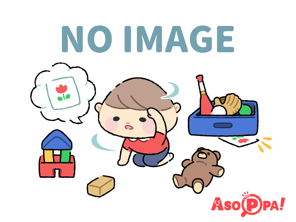 no_image