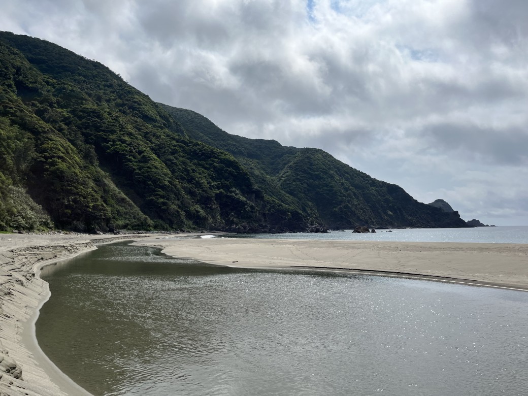 今年もやってきました奄美大島